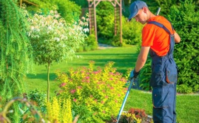 Dísznövénykertész