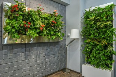 Vertikális kertész