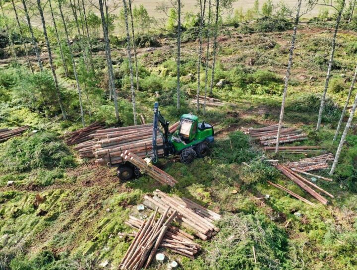 Erdészeti forvarderkezelő